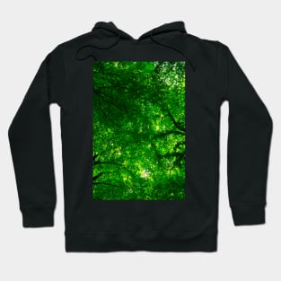 Canopy of Leaves Hoodie